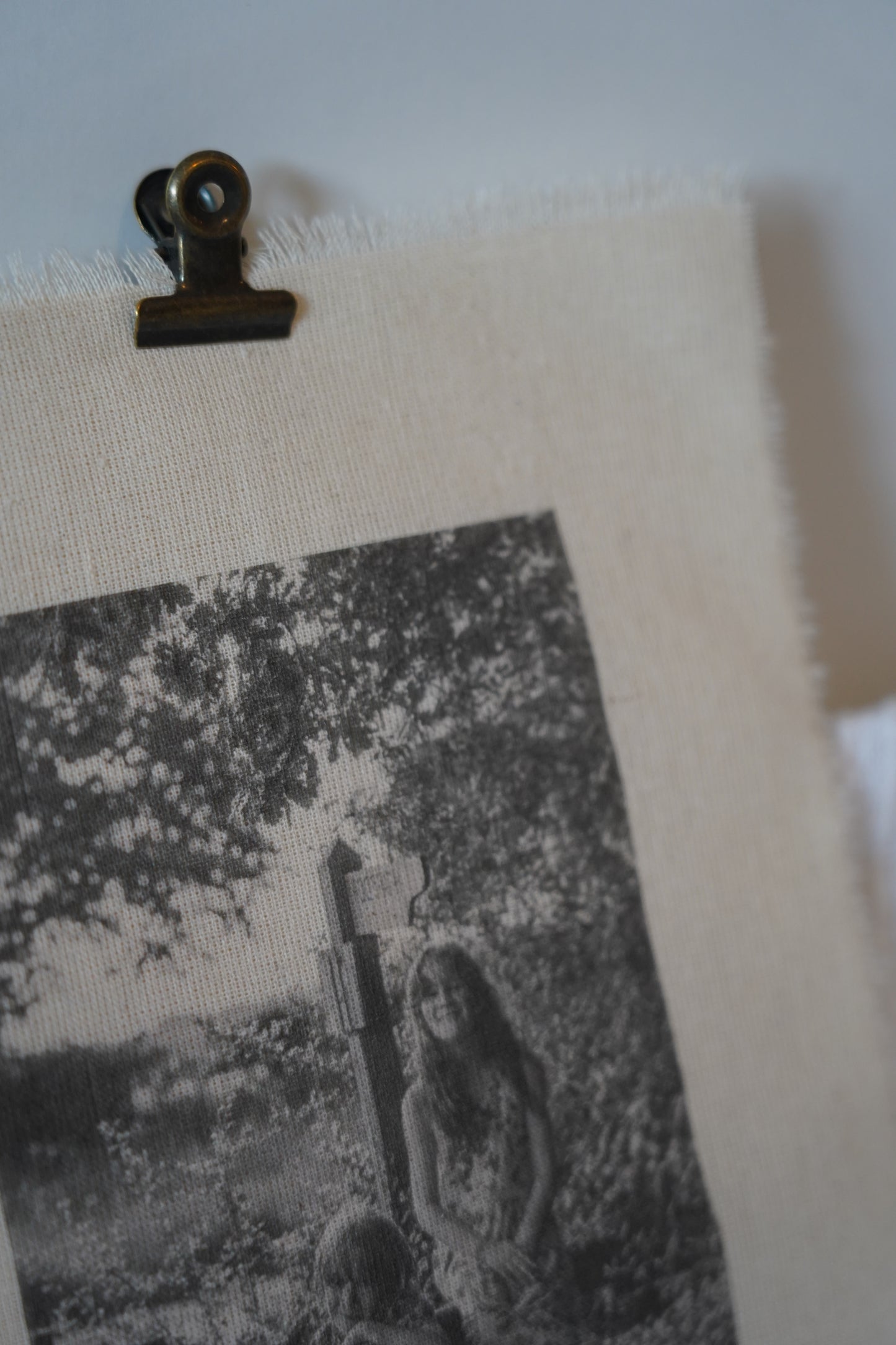 Revelado en lámina de madera con clip