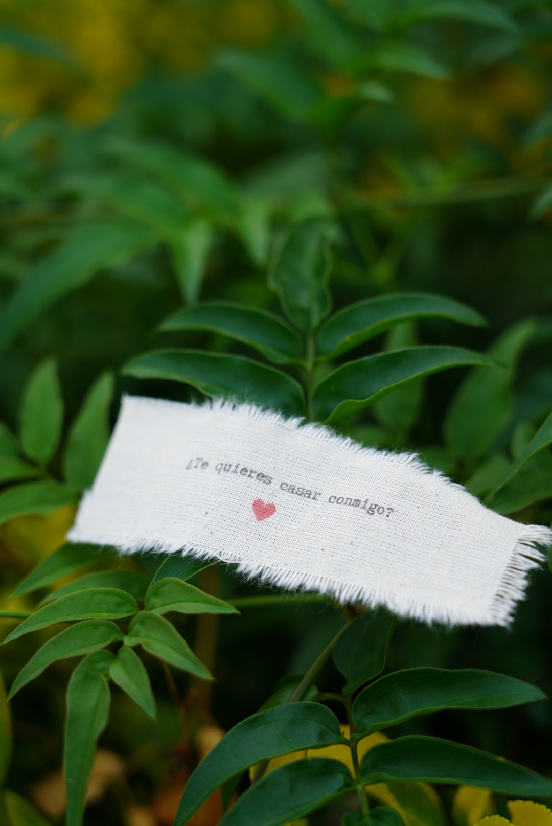 Revelado nota en botella