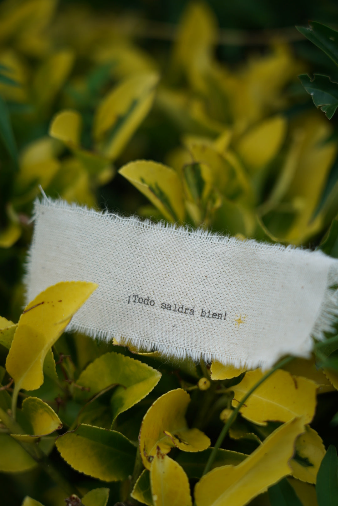 Revelado nota en botella